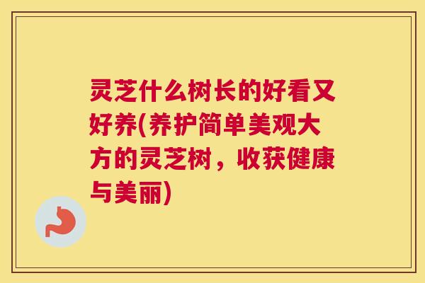 灵芝什么树长的好看又好养(养护简单美观大方的灵芝树，收获健康与美丽)