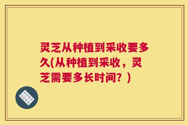 灵芝从种植到采收要多久(从种植到采收,灵芝需要多长时间?) 灵芝从种植到采收要多久(从种植到采收,灵芝需要多长时间?)