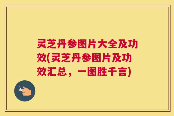 灵芝丹参图片大全及功效(灵芝丹参图片及功效汇总，一图胜千言)