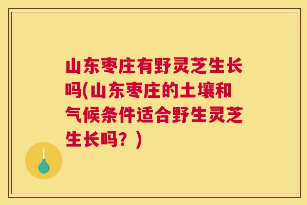 山东枣庄有野灵芝生长吗(山东枣庄的土壤和气候条件适合野生灵芝生长吗？)