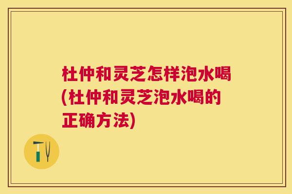 杜仲和灵芝怎样泡水喝(杜仲和灵芝泡水喝的正确方法)