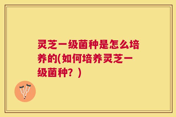 灵芝一级菌种是怎么培养的(如何培养灵芝一级菌种？)