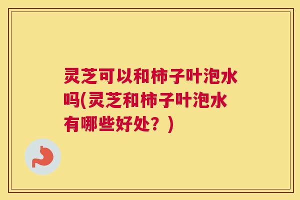 灵芝可以和柿子叶泡水吗(灵芝和柿子叶泡水有哪些好处？)