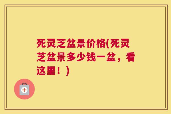 死灵芝盆景价格(死灵芝盆景多少钱一盆，看这里！)