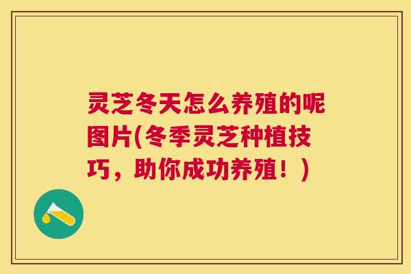 灵芝冬天怎么养殖的呢图片(冬季灵芝种植技巧，助你成功养殖！)