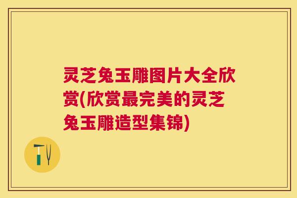 灵芝兔玉雕图片大全欣赏(欣赏最完美的灵芝兔玉雕造型集锦)