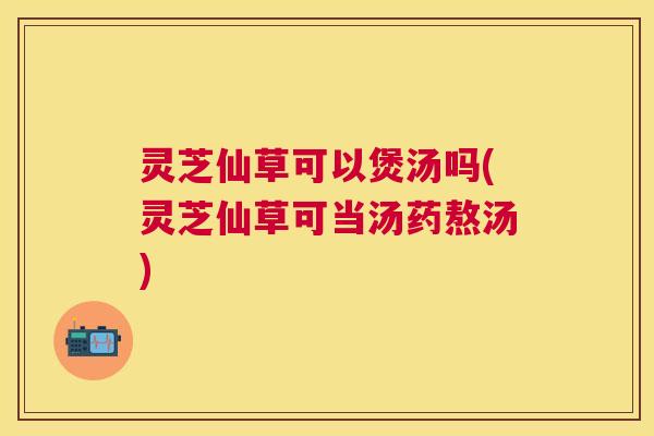 灵芝仙草可以煲汤吗(灵芝仙草可当汤药熬汤)