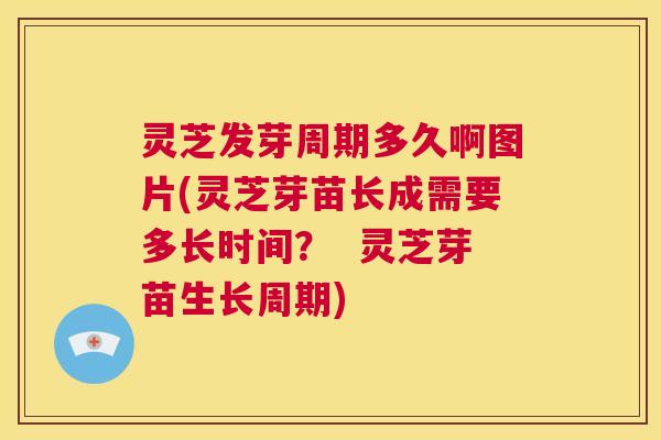 灵芝发芽周期多久啊图片(灵芝芽苗长成需要多长时间？  灵芝芽苗生长周期)