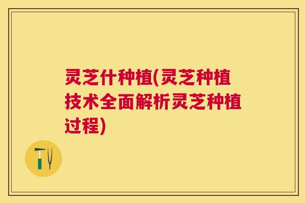 灵芝什种植(灵芝种植技术全面解析灵芝种植过程)