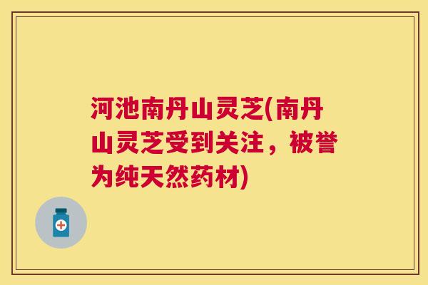河池南丹山灵芝(南丹山灵芝受到关注，被誉为纯天然药材)