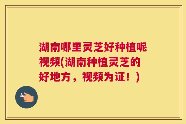 湖南哪里灵芝好种植呢视频(湖南种植灵芝的好地方,视频为证!) 湖南哪里灵芝好种植呢视频(湖南种植灵芝的好地方,视频为证!)