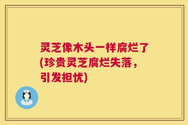 灵芝像木头一样腐烂了(珍贵灵芝腐烂失落，引发担忧)