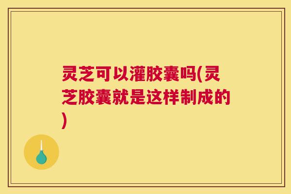 灵芝可以灌胶囊吗(灵芝胶囊就是这样制成的)