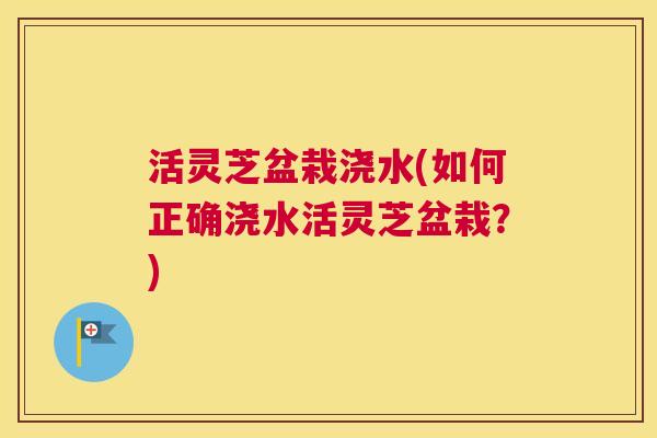 活灵芝盆栽浇水(如何正确浇水活灵芝盆栽？)