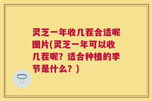 灵芝一年收几茬合适呢图片(灵芝一年可以收几茬呢？适合种植的季节是什么？)