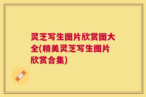 灵芝写生图片欣赏图大全(精美灵芝写生图片欣赏合集)