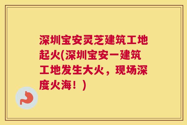 深圳宝安灵芝建筑工地起火(深圳宝安一建筑工地发生大火，现场深度火海！)