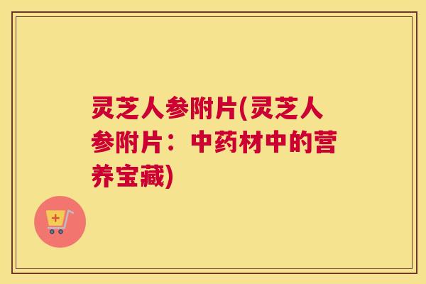 灵芝人参附片(灵芝人参附片：中药材中的营养宝藏)