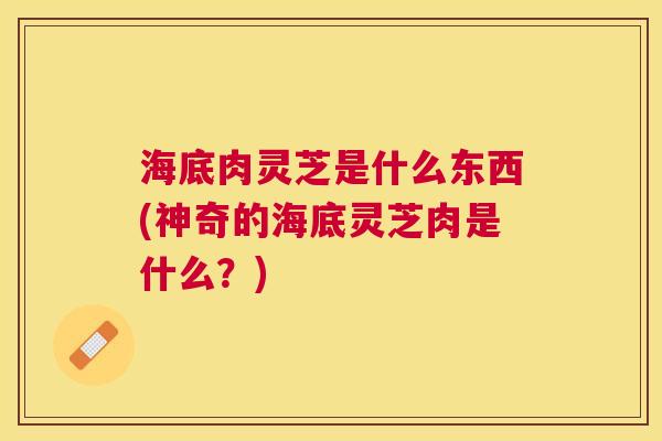 海底肉灵芝是什么东西(神奇的海底灵芝肉是什么？)