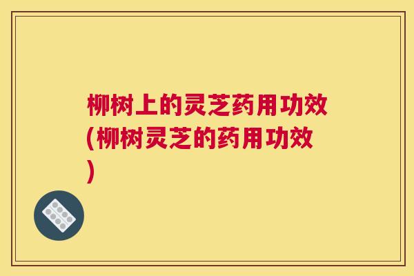 柳树上的灵芝药用功效(柳树灵芝的药用功效)