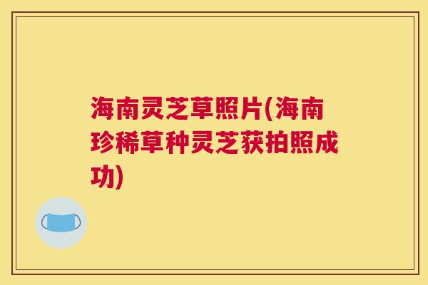 海南灵芝草照片(海南珍稀草种灵芝获拍照成功)
