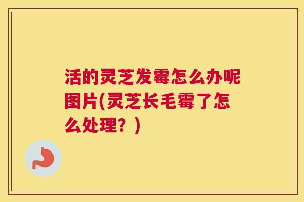 活的灵芝发霉怎么办呢图片(灵芝长毛霉了怎么处理？)