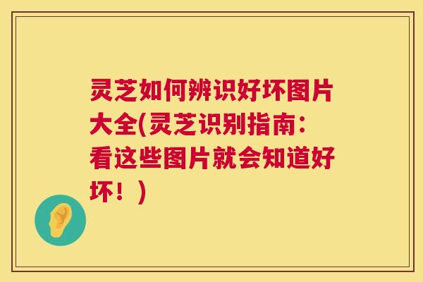 灵芝如何辨识好坏图片大全(灵芝识别指南：看这些图片就会知道好坏！)