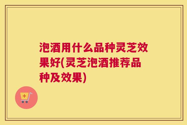 泡酒用什么品种灵芝效果好(灵芝泡酒推荐品种及效果)