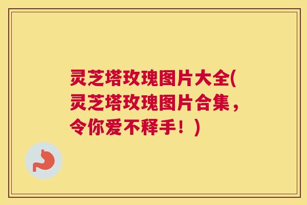 灵芝塔玫瑰图片大全(灵芝塔玫瑰图片合集，令你爱不释手！)