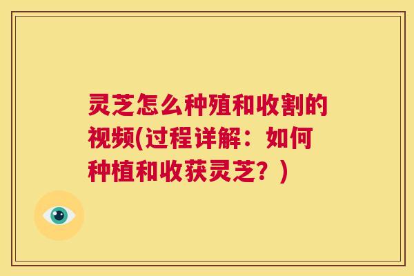 灵芝怎么种殖和收割的视频(过程详解：如何种植和收获灵芝？)