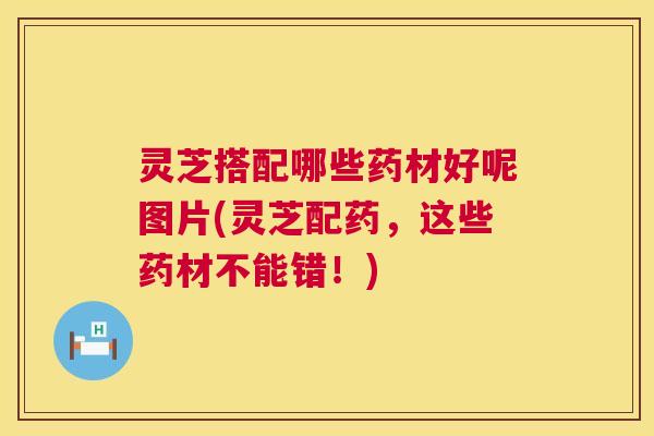 灵芝搭配哪些药材好呢图片(灵芝配药，这些药材不能错！)