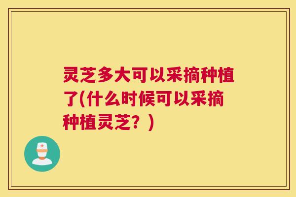 灵芝多大可以采摘种植了(什么时候可以采摘种植灵芝？)