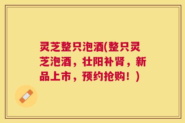 灵芝整只泡酒(整只灵芝泡酒，壮阳补肾，新品上市，预约抢购！)