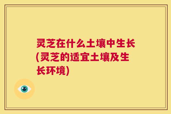 灵芝在什么土壤中生长(灵芝的适宜土壤及生长环境)