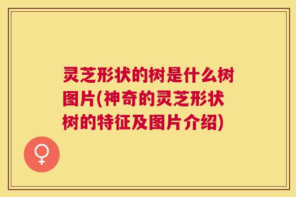 灵芝形状的树是什么树图片(神奇的灵芝形状树的特征及图片介绍)