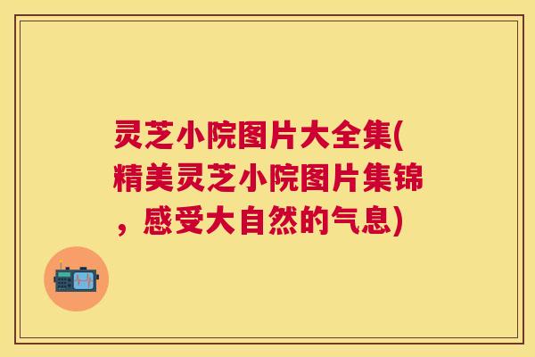 灵芝小院图片大全集(精美灵芝小院图片集锦，感受大自然的气息)