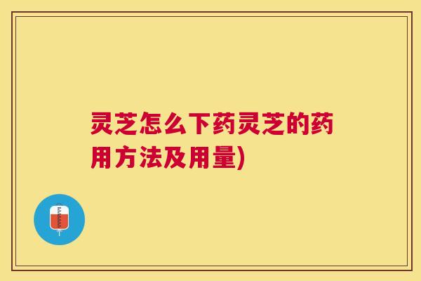 灵芝怎么下药灵芝的药用方法及用量)