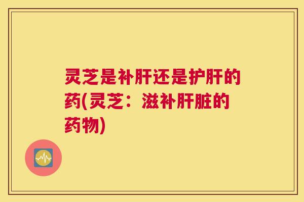 灵芝是补肝还是护肝的药(灵芝：滋补肝脏的药物)