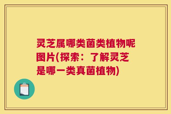 灵芝属哪类菌类植物呢图片(探索：了解灵芝是哪一类真菌植物)