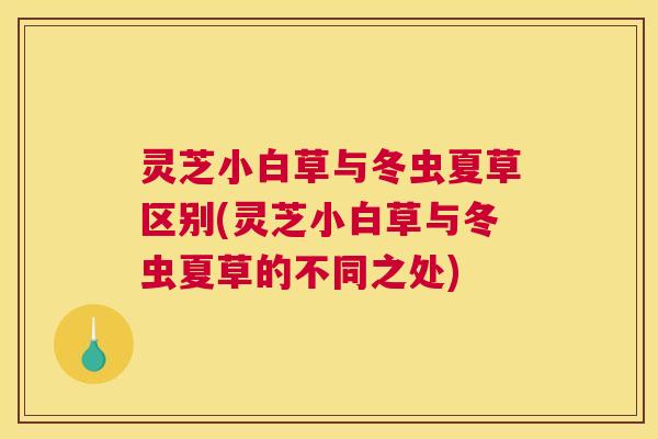 灵芝小白草与冬虫夏草区别(灵芝小白草与冬虫夏草的不同之处)