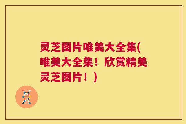 灵芝图片唯美大全集(唯美大全集！欣赏精美灵芝图片！)