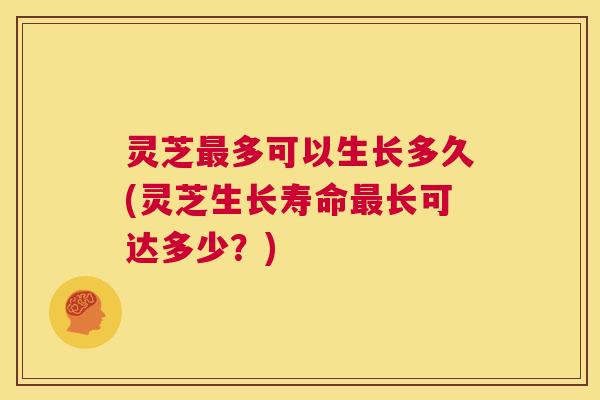 灵芝多可以生长多久(灵芝生长寿命长可达多少?) 灵芝多可以生长多久(灵芝生长寿命长可达多少?)