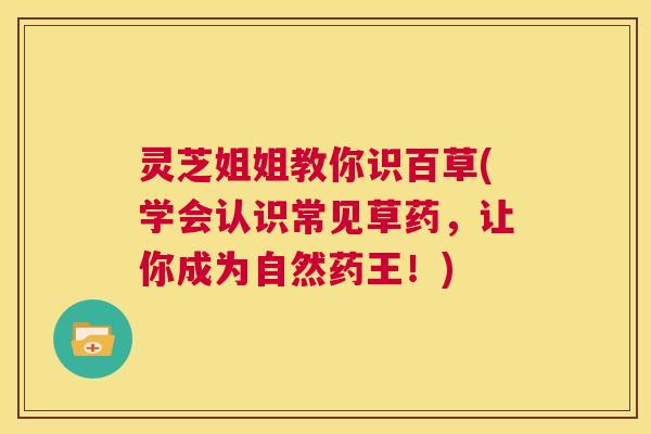 灵芝姐姐教你识百草(学会认识常见草药,让你成为自然药王!) 灵芝姐姐教你识百草(学会认识常见草药,让你成为自然药王!)