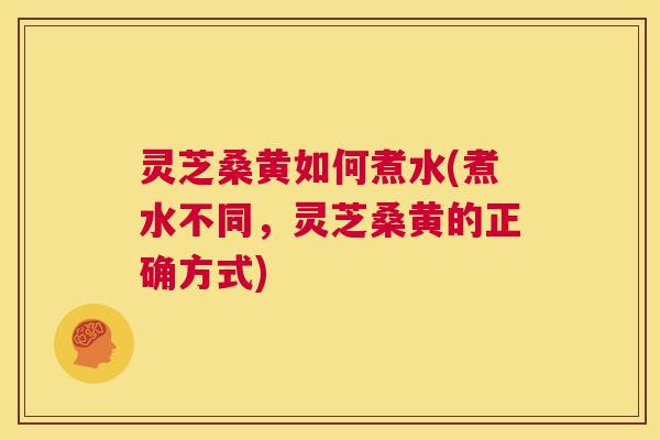 灵芝桑黄如何煮水(煮水不同，灵芝桑黄的正确方式)