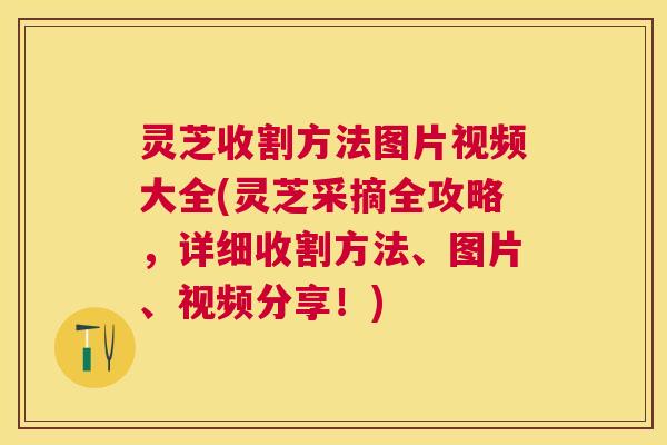 灵芝收割方法图片视频大全(灵芝采摘全攻略，详细收割方法、图片、视频分享！)