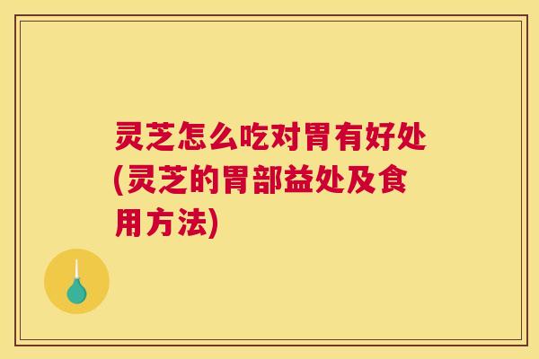 灵芝怎么吃对胃有好处(灵芝的胃部益处及食用方法)