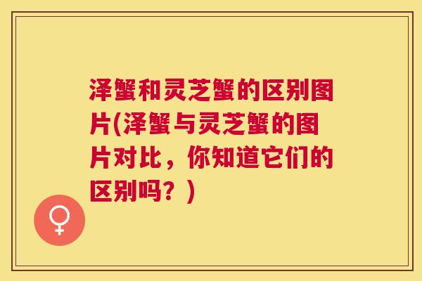 泽蟹和灵芝蟹的区别图片(泽蟹与灵芝蟹的图片对比，你知道它们的区别吗？)
