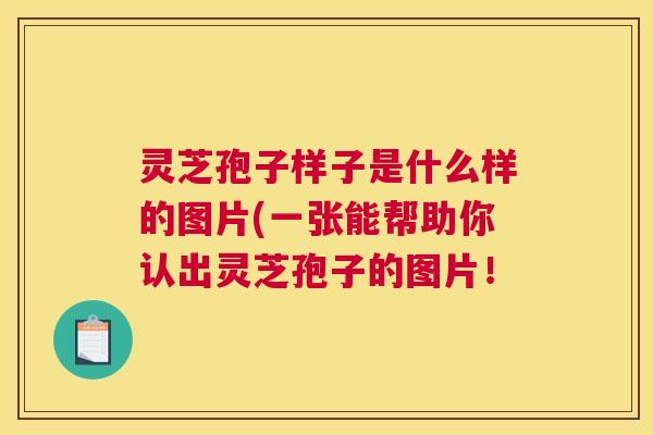 灵芝孢子样子是什么样的图片(一张能帮助你认出灵芝孢子的图片！