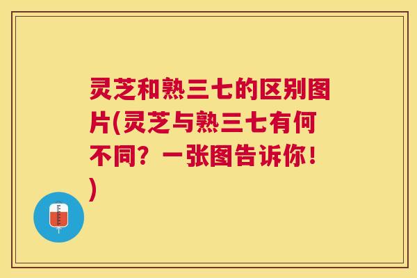 灵芝和熟三七的区别图片(灵芝与熟三七有何不同？一张图告诉你！)