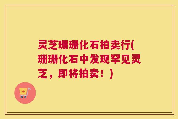 灵芝珊珊化石拍卖行(珊珊化石中发现罕见灵芝，即将拍卖！)